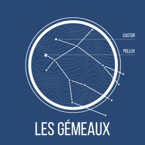 Les gémeaux